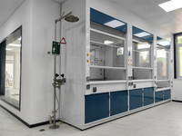 Hotte de laboratoire moderne en acier inoxydable sur mesure pour les laboratoires chimiques dans les écoles et les hôpitaux