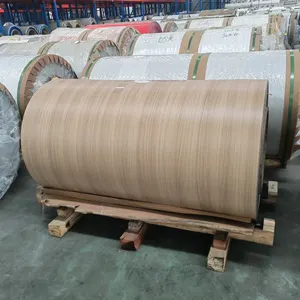 Factory Price Cold/ Hot Rolled Color Coated Prepainted Galvanized Aluminum Coil