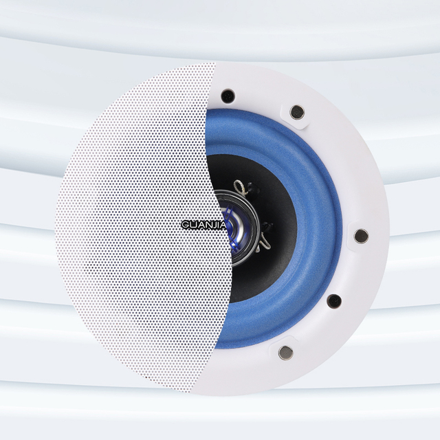 Two Zone Constant Pressure 200W Amplifier Ceiling Speaker Hi-Res Audio 4 Ohm Metal Construction for Background Music Shops