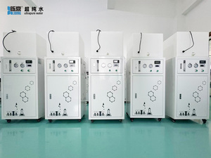 Precise Laboratory DI Water benefit From Real-<strong>time</strong> Water <strong>Quality</strong> Monitoring <strong>System</strong> That Ensures Consistent ultra Pure Output - Product Image 4
