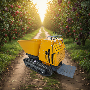 Camion Ribaltabile Cingolato, Prodotto in Cina, Camion Ribaltabile Cingolato Multiuso, Adatto per l'Agricoltura e l'Edilizia. - Product Image 1