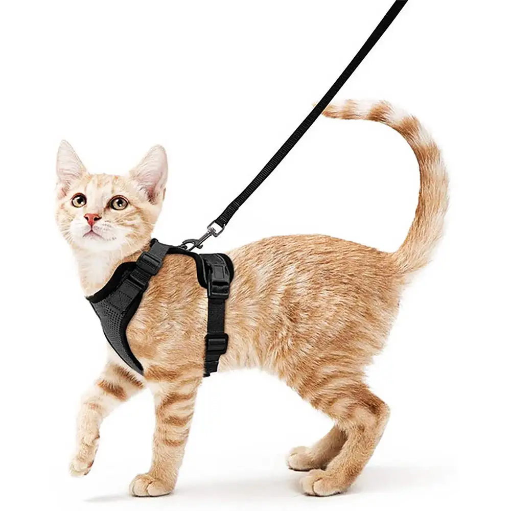 Дышащая сетчатая прокладка, портупея и поводок для кошек, регулируемый безопасный шлейка для котенка и поводок для прогулок