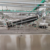 Ligne de processus d'abattage automatique de volailles Maisheng, équipement d'abattage pour abattoir