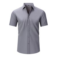 Chemise décontractée pour homme la plus vendue, extensible dans les quatre sens, sans fer, résistante aux plis, couleur naturelle.