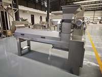 Ligne de production automatique de jus de grenade, presse à vis, extracteur de jus, stérilisateur UHT, étiqueteuse, remplisseuse de bouteilles en verre