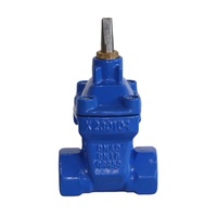 DIN femelle Npt Bspt joint souple vanne filetée DN15 DN20 DN25 DN32 DN40 DN50 PN10/PN16