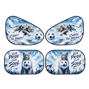 Parasol para Auto con Diseño de la Selección Argentina de Fútbol, Protección UV, Plegable, para Ventana Delantera - Product Image 1