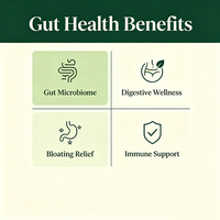 Gummies Probiotiques Bien-être Digestif Marque Blanche – Complément Quotidien à Croquer pour le Soutien Digestif et Immunitaire