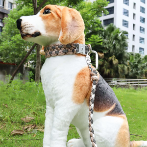 <span class=keywords><strong>2026</strong></span> कस्टम प्रीमियम पालतू पट्टा सेट पैराकॉर्ड कुत्ते कॉलर के साथ रिट्रेटेबल धातु बकल - Product Image 2