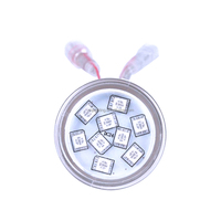 Lumières de cabochon à pixels RVB 24V pour fête foraine CHJ 45mm