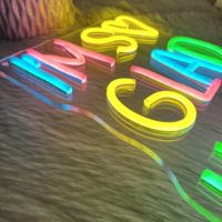 Enseigne néon rétroéclairée personnalisée avec logo, panneau arrière en acrylique LED, étanche IP67, pour affichage de marque en vitrine, hôtellerie, décoration intérieure, location événementielle