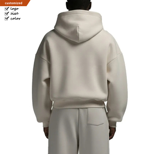 Custom French Terry Pullover Hoddie 400 450 500 600Gsm Heavyweight <strong>Hoodie</strong> 100 Cotton Box Cropped 450gsm Cotton Hoodies for Men - Product Image 2