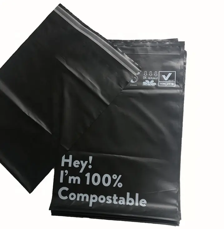 Pochette d'expédition de courrier en Poly pebd autocollante personnalisée, sacs en plastique avec poche