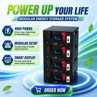 Sel Baterai LiFePO4 Semi-Solid State JKCELL 16KWh 51.2V 314Ah Stok EU, 8000 Siklus, Penyimpanan Energi Rumah, Garansi 5 Tahun Gratis