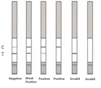 Bandelette de test d'antibiotiques dans le lait, kit de test rapide d'albendazole