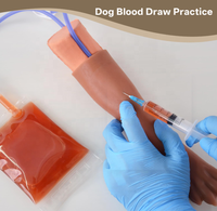 Kit d'entraînement vétérinaire pour la pratique de la ponction sanguine IV et de la cathétérisme IV sur la patte canine pour étudiants, vétérinaires et formation