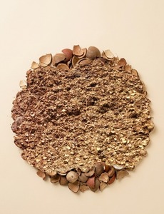 Charbon de coco pur biologique de qualité supérieure à haute teneur en carbone pour la purification et la filtration de l'eau - Product Image 1