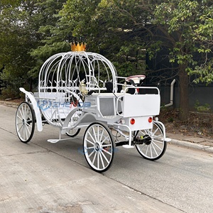 Chariot de Mariage Blanc Fantaisie à Motifs Creux, Chariot de Mariée pour Entrée, Thème Cendrillon, Chariot Citrouille à Chevaux à Vendre - Product Image 3