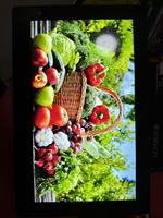 Écran d'affichage LCD de 10,1 pouces COG-PVLGT7394 LBL-VLGT7369-01A00