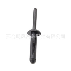 Clips de rivets aveugles en nylon 25524005 pour réparation de pare-chocs GM Ford Chrysler Dodge, attaches en plastique - Product Image 4