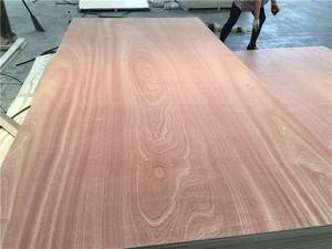 <span class=keywords><strong>Compensato</strong></span> commerciale <span class=keywords><strong>3</strong></span> <span class=keywords><strong>mm</strong></span> di prezzo competitivo per la pelle della porta della melamina - Product Image 2