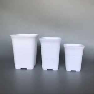 Vaso suculento quadrado branco alto de 7.5cm * 9.5cm, pote pequeno de cacto