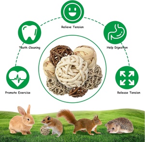Boules à mâcher, lot de 8, jouets pour petits animaux, boules à mâcher pour petits animaux, hamsters, lapins, cochons d'Inde, chinchillas, gerbilles, lapins - Product Image 5