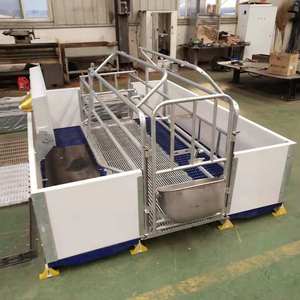 Phong cách Châu Âu farrowing <span class=keywords><strong>Crate</strong></span> cho lợn trang trại kim loại ấm gian hàng cho lợn nái mang thai piggery thiết bị để bán - Product Image 6