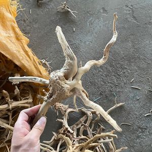 Kayu akuarium driftwood alami tangki ikan lansekap dekorasi, kayu laba-laba habitat akar, memanjat kotak hewan peliharaan akar pohon - Product Image 6