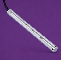 Transmetteur de niveau à immersion CYW21, mesure double de niveau et de température, utilisation directe, installation rapide et stabilité fiable