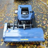 Robot tondeuse télécommandé pour pelouse et jardin, prix et valeur du tracteur
