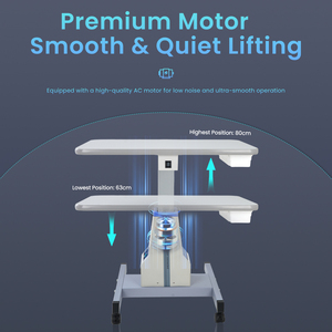 Aist Optics Hot Selling WB-3AL <b>Electric</b> Optometry Lifting <b>Table</b> Ophthalmology Slit Lamp <b>Electric</b> <b>Table</b> For Optical Store - Product Image 4