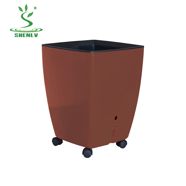 สีน้ำตาล