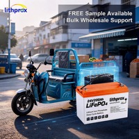 Batterie au lithium pour scooter 24V200AH 4.8KWh, Lithium Fer Phosphate Premium, longue durée de vie, charge équilibrée pour fauteuil roulant électrique