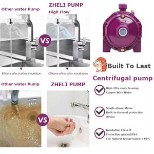 ZHELI <strong>Electric</strong> High Pressure Automotive Industry Centrifugal <strong>Pumps</strong> 28M Max Head Double Impeller Centrifugal <strong>Water</strong> <strong>Pump</strong> Cast Iron - Product Image 4