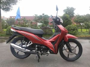 <span class=keywords><strong>Moto</strong></span> chinois 125 de 110CC y <span class=keywords><strong>50</strong></span> <span class=keywords><strong>cc</strong></span>, <span class=keywords><strong>moto</strong></span> de carrera, <span class=keywords><strong>precio</strong></span> de fábrica - Product Image 4