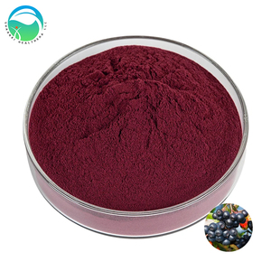 Poudre de fruit d'<span class=keywords><strong>aronia</strong></span> noir naturel, 15% d'extrait d'anthocyanes, certifié halal/kasher, qualité alimentaire, vente en gros en vrac - Product Image 1