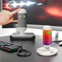 Microphone à condensateur USB OEM Studio avec éclairage RGB pour jeux, ordinateurs, smartphones et enseignement - Connexion Type-C