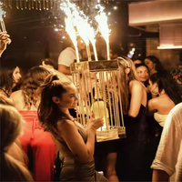 Présentoir de bouteille de champagne personnalisé avec logo, cage à bouteille VIP avec éclairage LED pour boîte de nuit, bar lounge, fête