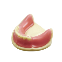 YOUYA DENTAL 1 pièce Modèle portable d'implant dentaire en résine pour la mâchoire inférieure 2009 pour les cliniques et les milieux éducatifs