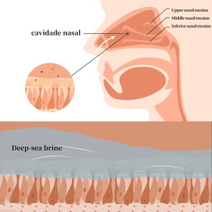 Großhandel Meerwasser Nasenspray Physio logisches Meerwasser Nasenspray hilft, trockene gereizte Nasen zu beruhigen und zu befeuchten - Product Image 5
