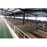 Fournisseurs chinois de structures en acier pour l'élevage de poulets de chair, conception de plans de bâtiments pour fermes de chèvres, vaches, volailles et écuries de chevaux