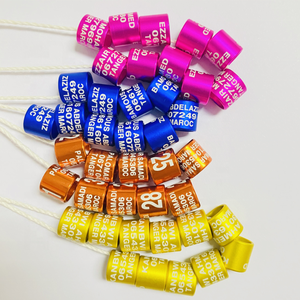 Nieuwe stijl letter kanarie vogel <span class=keywords><strong>Yorkshire</strong></span> vogelbanden beenringen levende aluminium duivenringen - Product Image 4