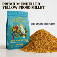 Meilleures graines de millet Proso jaune naturel non décortiqué de haute qualité à 100 % avec son coque pour l'alimentation des perroquets, budgés et calopsittes OEM/ODM