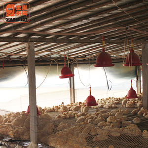 New Condition Automatic <strong>Duck</strong> and Goose Bucket Breeding System <strong>Feeder</strong> for <strong>Ducks</strong> Geese Farm Use - Product Image 3