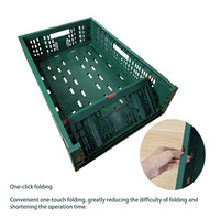 Caisse en plastique maillée de qualité alimentaire, recyclable, empilable, pliable, pour fruits et légumes, stockage en chambre froide, panier pliable