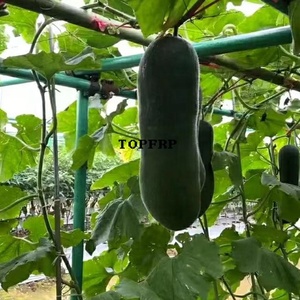 Customized Fiberglass Tube Agricultural Outdoor Planting Support <b>Pole</b> - Product Image 6
