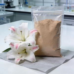 Doğal Bitkisel Ekstrakt 10:1 İsatis Kökü Ekstraktı Çin Bitkisel Özlü <span class=keywords><strong>Radix</strong></span> <span class=keywords><strong>Isatidis</strong></span> Kök Tozu İndigowood Kök Ekstraktı - Product Image 6