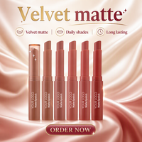 Rouge à lèvres mat de conception d'usine vente en gros personnalisé végétalien antiadhésif tasse rouge à lèvres marque privée rouge à lèvres bio étanche