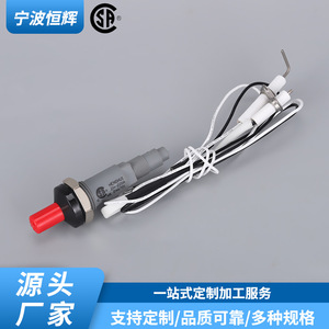 Aiguille d'allumage en céramique à bouton-poussoir pour cuisinière à gaz, allumage électrique universel avec pointe droite et courbée - Product Image 2